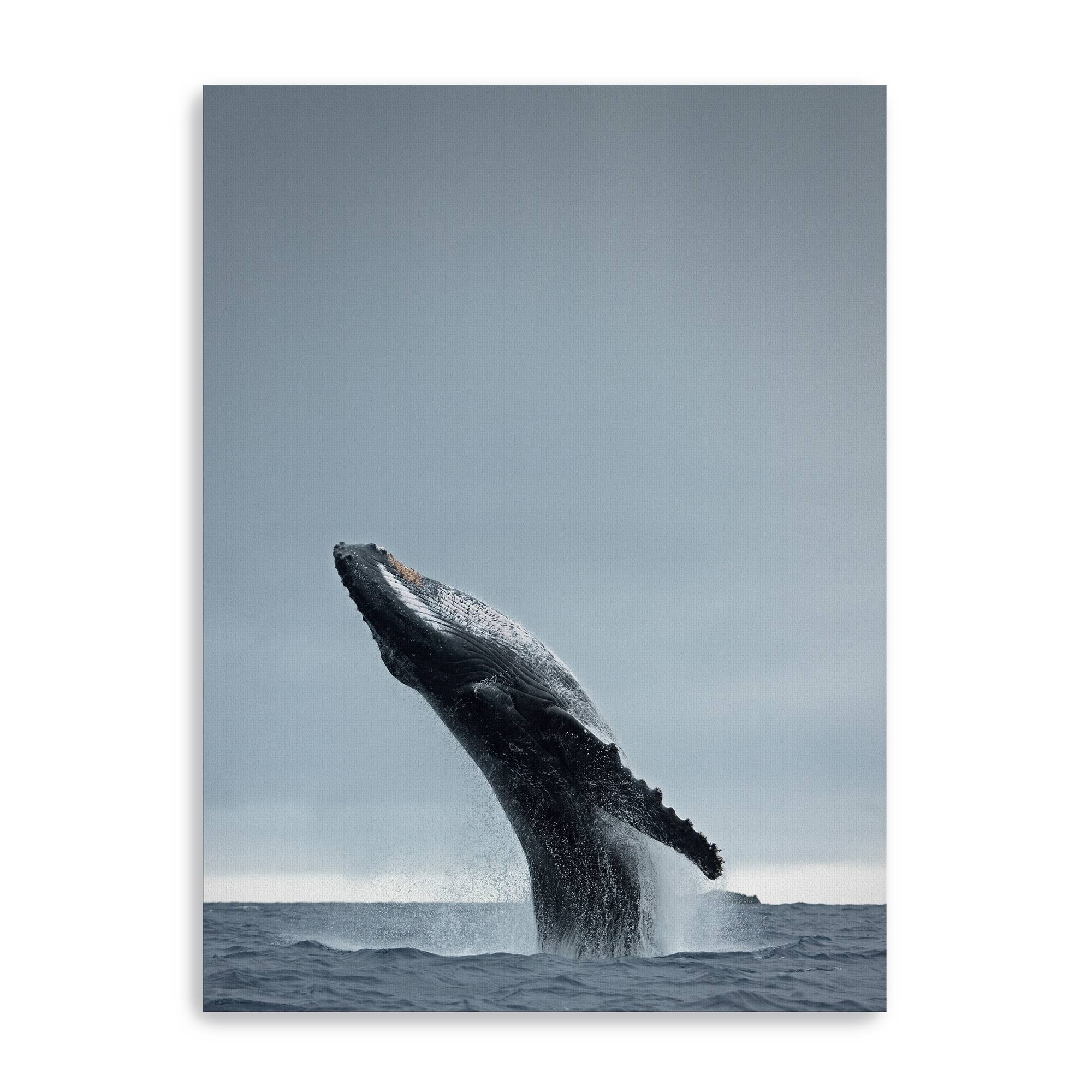 40 Ton Canvas Giclee